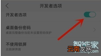 realme x2怎么关闭开发者选项