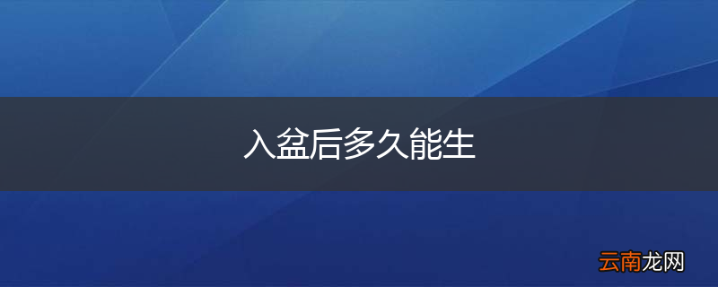 入盆后多久能生