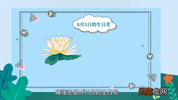 睡莲花语 睡莲花语是什么