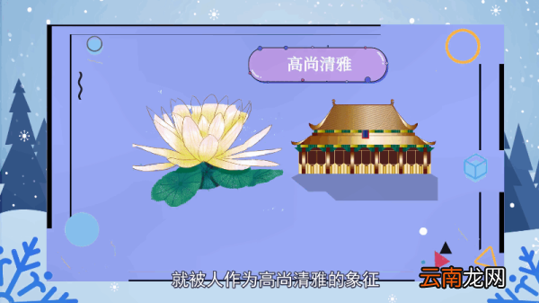 睡莲花语 睡莲花语是什么