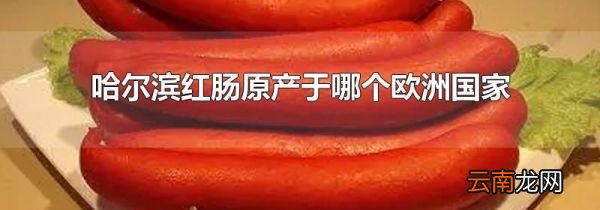 哈尔滨红肠原产于哪个欧洲国家