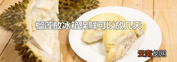 榴莲放冰箱保鲜可以放几天