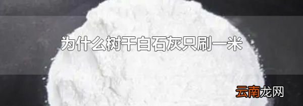 为什么树干白石灰只刷一米