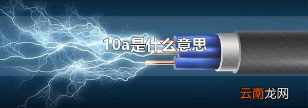 10a是什么意思