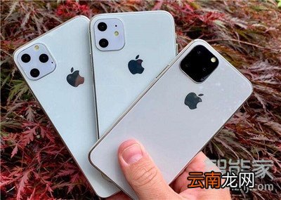 iphone11pro电池怎么保养
