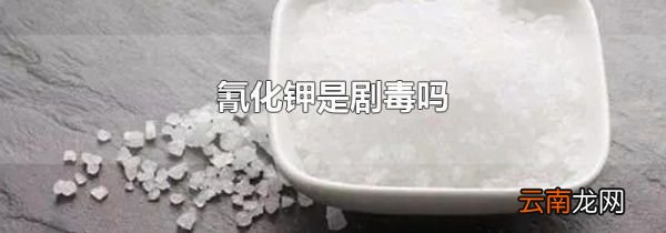 氰化钾是剧毒吗