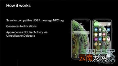 iphone11Pro有nfc吗