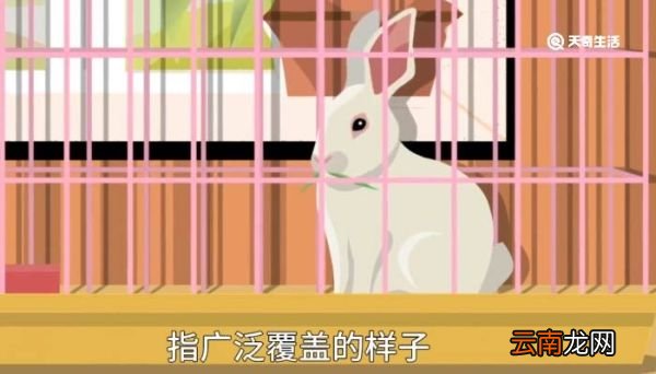 笼罩的意思 笼罩的意思造句