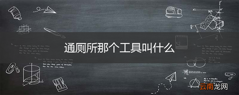 通厕所那个工具叫什么
