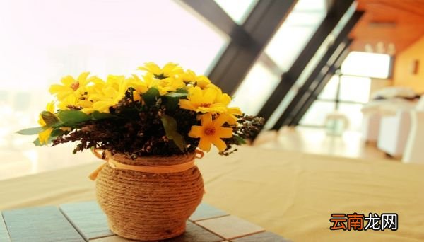 仿真花清洗妙招 仿真花怎么清洗