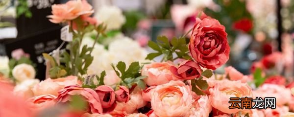 仿真花清洗妙招 仿真花怎么清洗
