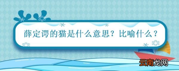 薛定谔的猫是什么意思比喻什么 薛定谔的猫解释