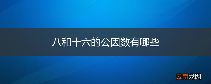 八和十六的公因数有哪些