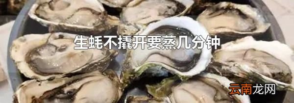 生蚝不撬开要蒸几分钟