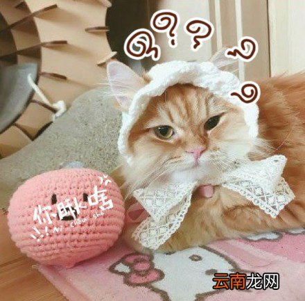 跟谁俩呢图片你跟谁俩呢表情包大全