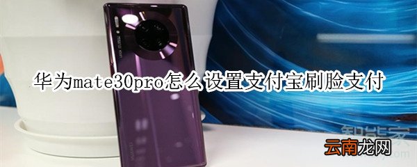 华为mate30pro怎么设置支付宝刷脸支付