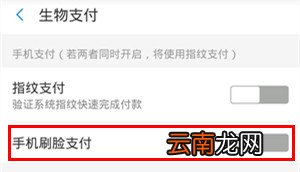 华为mate30pro怎么设置支付宝刷脸支付