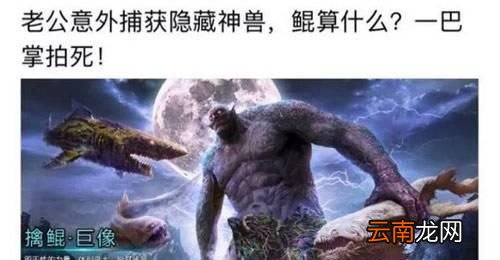 菜虚鲲是什么梗？