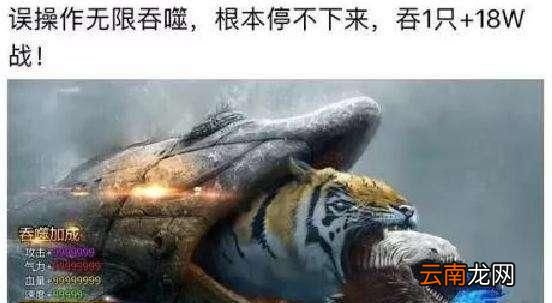 菜虚鲲是什么梗？
