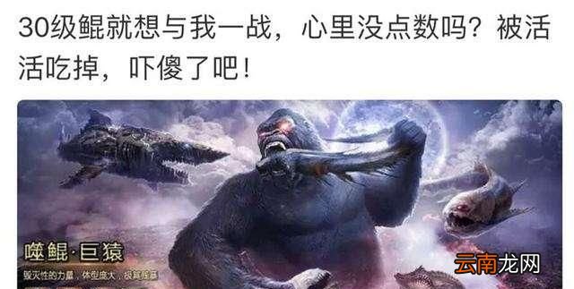 菜虚鲲是什么梗？