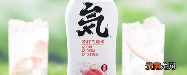 元気水真的无糖无脂肪吗 喝元気水真的不会胖吗