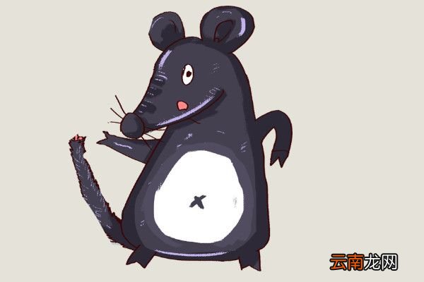 官仓鼠古诗带拼音版官仓鼠古诗的意思