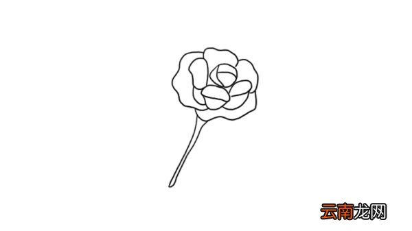 花的简笔画图片大全集 花的画法步骤
