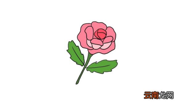 花的简笔画图片大全集 花的画法步骤