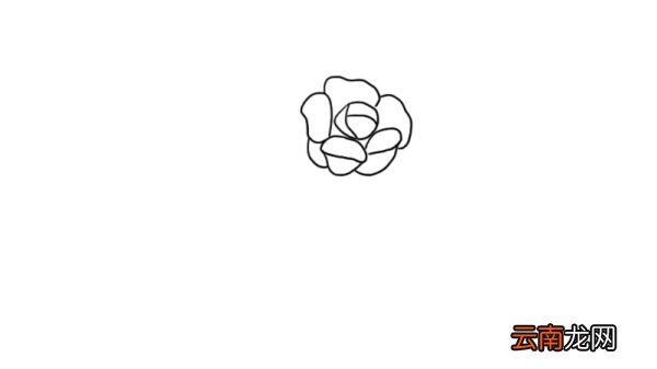 花的简笔画图片大全集 花的画法步骤