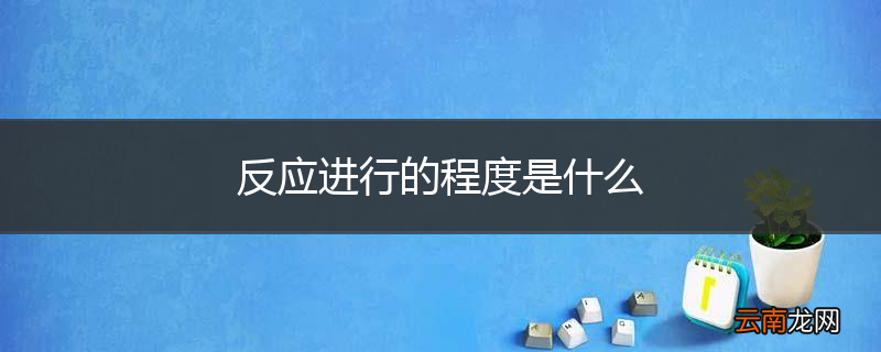 反应进行的程度是什么