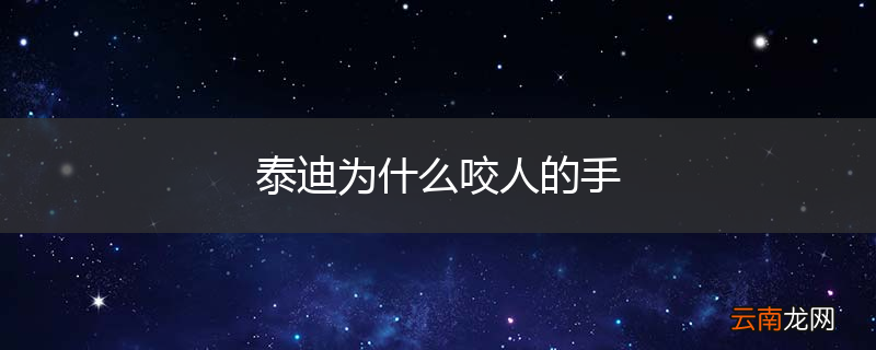 泰迪为什么咬人的手