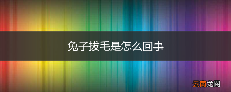 兔子拔毛是怎么回事