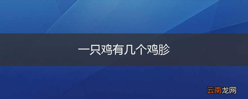 一只鸡有几个鸡胗