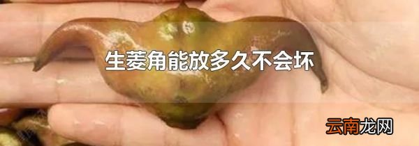 生菱角能放多久不会坏