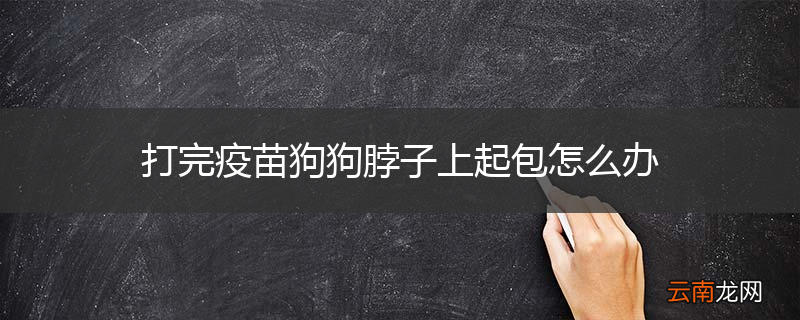 打完疫苗狗狗脖子上起包怎么办