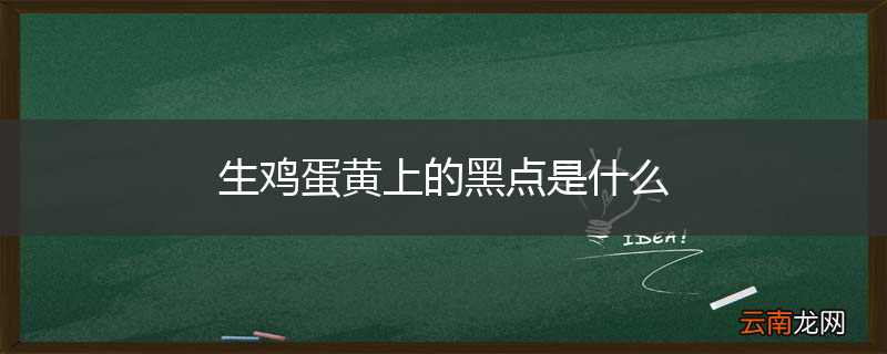 生鸡蛋黄上的黑点是什么