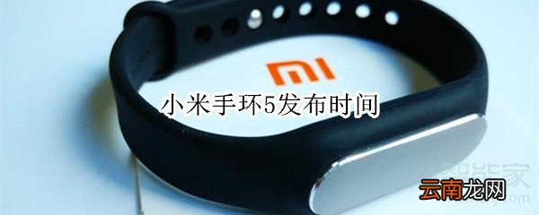 小米手环5发布时间