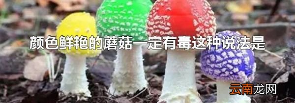颜色鲜艳的蘑菇一定有毒这种说法是