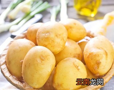 土豆原产地是哪里？