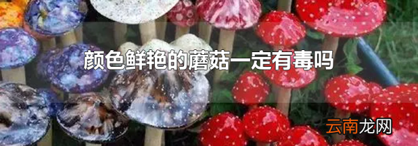 颜色鲜艳的蘑菇一定有毒吗