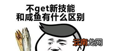 网络用语“get”是什么意思？