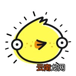 伴伴App详细使用步骤介绍