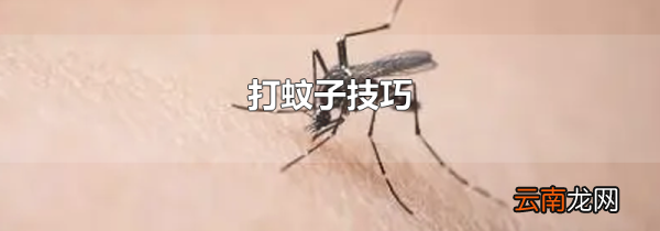 打蚊子技巧