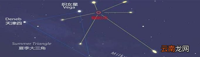 织女星属于哪个星座？