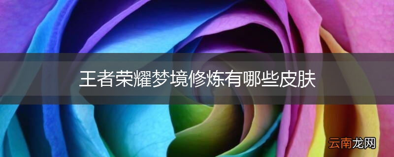 王者荣耀梦境修炼有哪些皮肤
