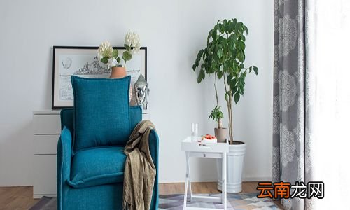 什么颜色窗帘显得大气 窗帘什么颜色好