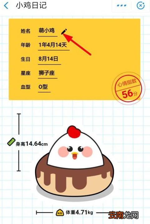 支付宝中蚂蚁庄园查看小鸡日记具体操作流程