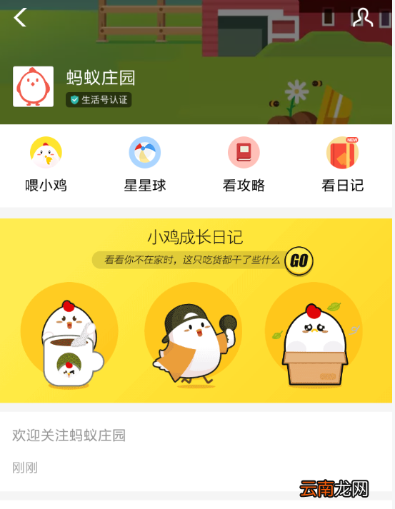 支付宝中蚂蚁庄园查看小鸡日记具体操作流程