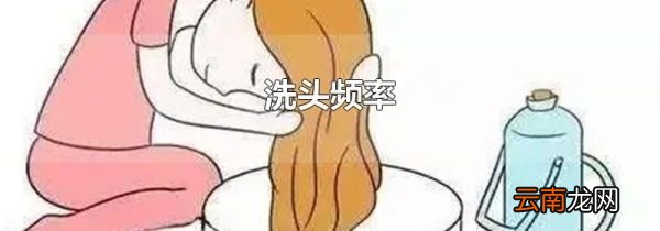 洗头频率