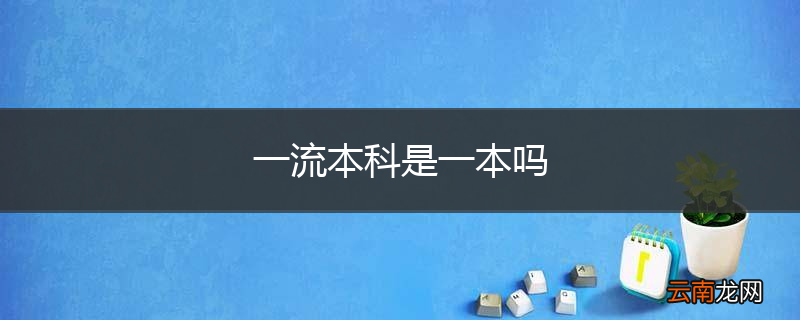 一流本科是一本吗